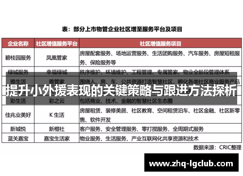 提升小外援表现的关键策略与跟进方法探析